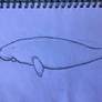 Dugong quick draw.