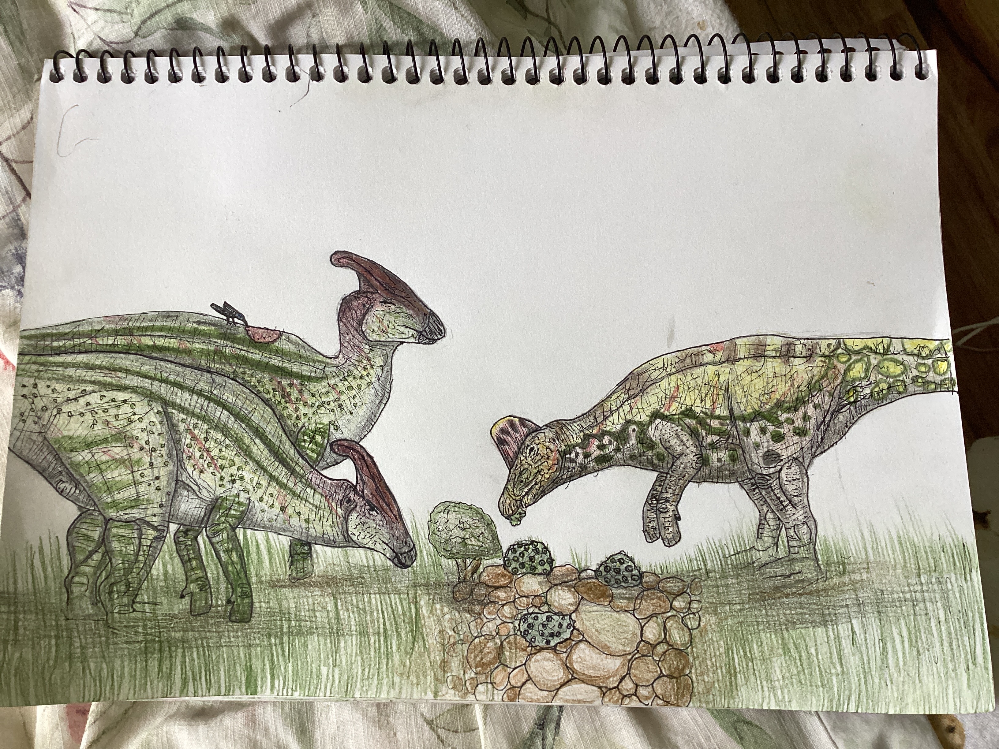 Request by JWE1993 jp 2001 para and corytho.