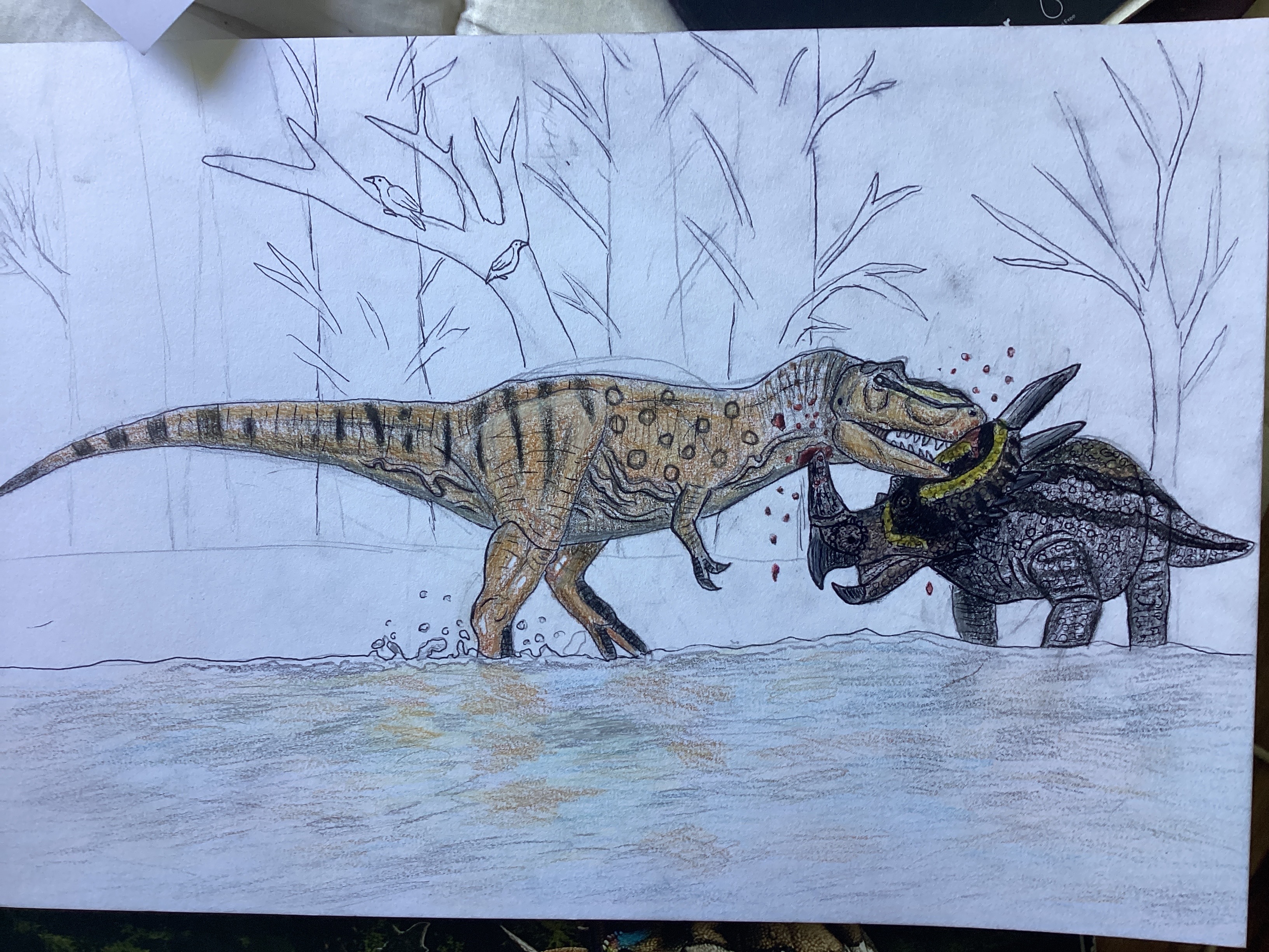 Albertosaurus vs styracosaurus in river