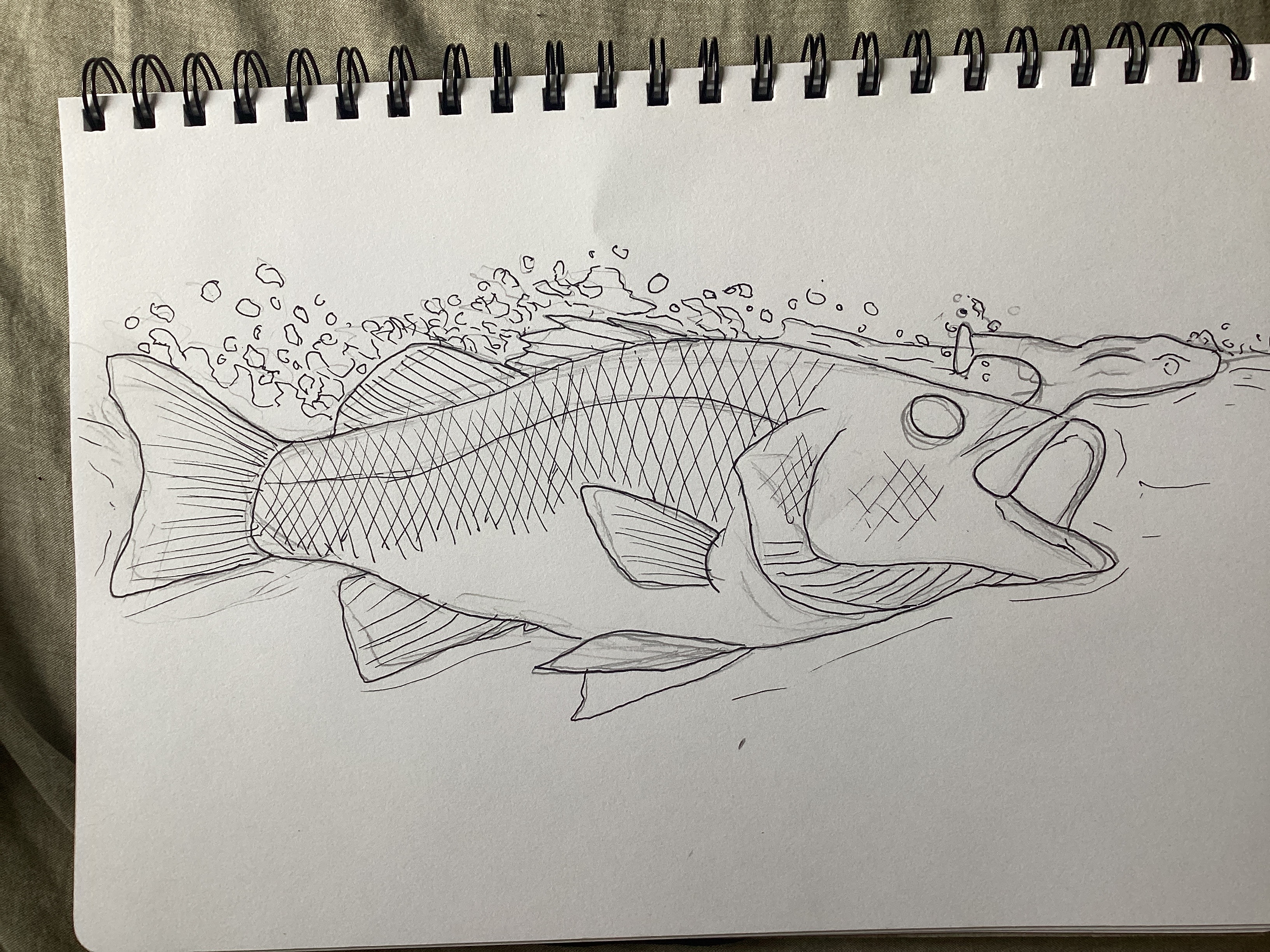 Australian bass boofing frog lure