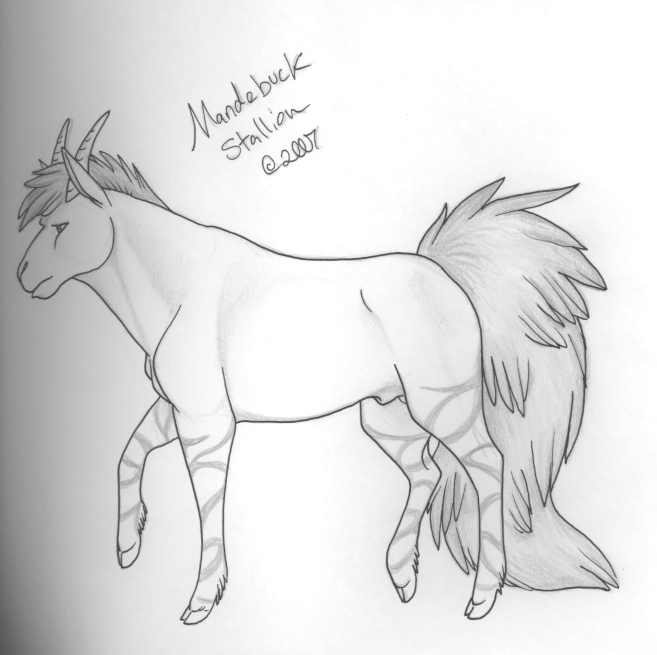 Mandebuck Stallion