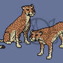 SOLD!!  Cheetah Avatar