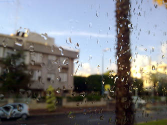 Rain in Holon
