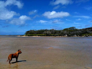 Paiko Lagoon