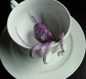 Teacup Octopus