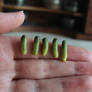 Miniature Pickles