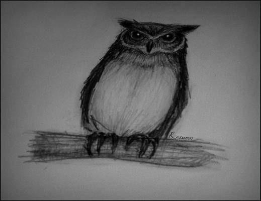 Owl sketch