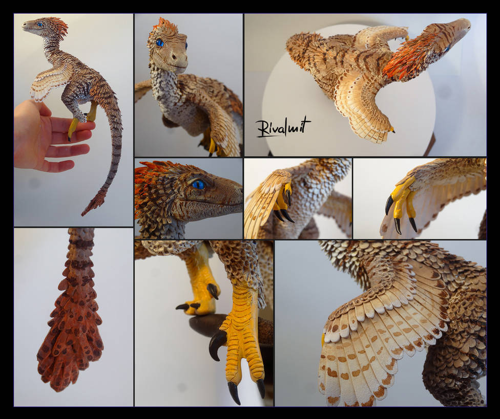 Raptor Ruffle Feathered raptor by rivalmit on DeviantArt
