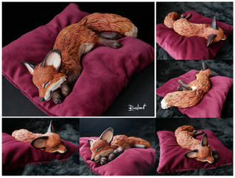 Sleepimg fox for FURVESTER