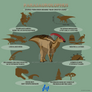 Parasaurolophus lite infographics