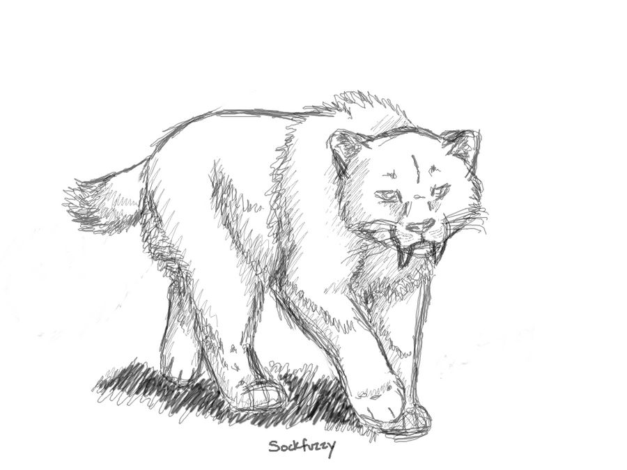 sabertooth sketch by sockfuzzy on DeviantArt