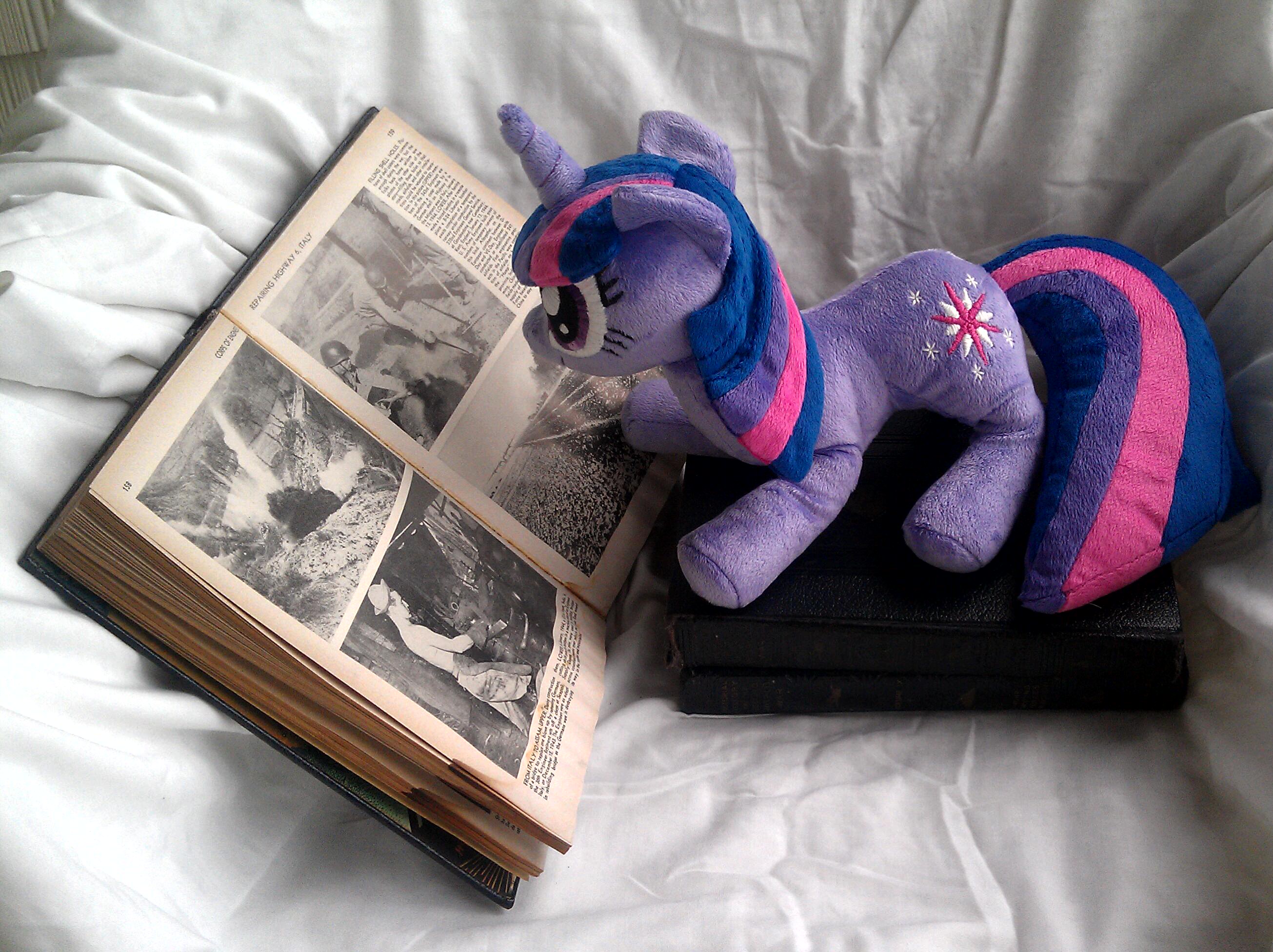 MLP Plushie Twilight