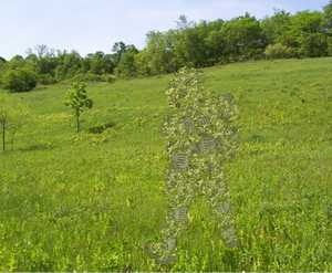 camo at work in grassland