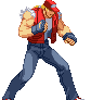 Terry Bogard