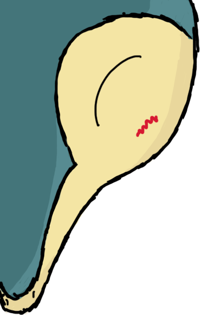 Cyndaquil