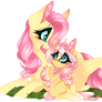 Sunny flowers and Fluttershy