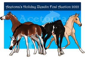 Holiday Zlesdin Foal Auction | CLOSED
