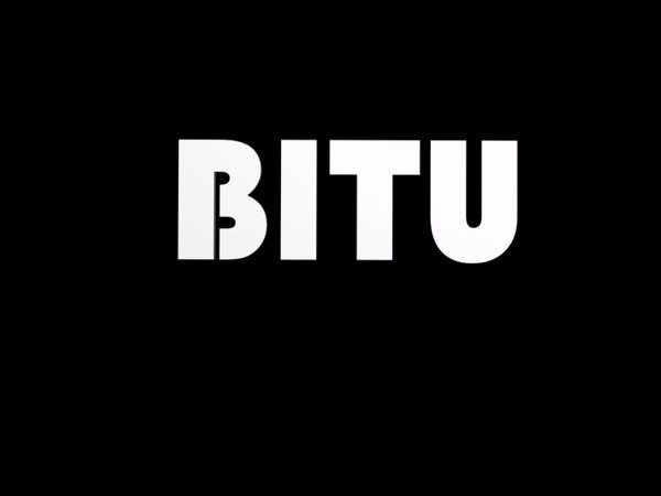 Bitu logo by BituHUN on DeviantArt