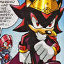 King Shadow The Hedgehog