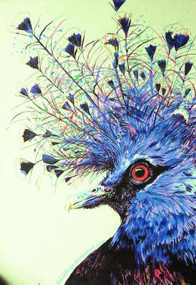 Victorian Crowned Pigeon