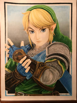 Link: The Legend of Zelda ~ With Colour!