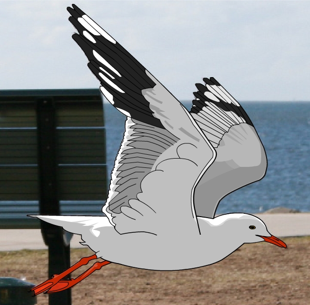 Flying Seagull by dmarteng on DeviantArt