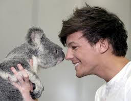 Louis Tomlinson with  koala