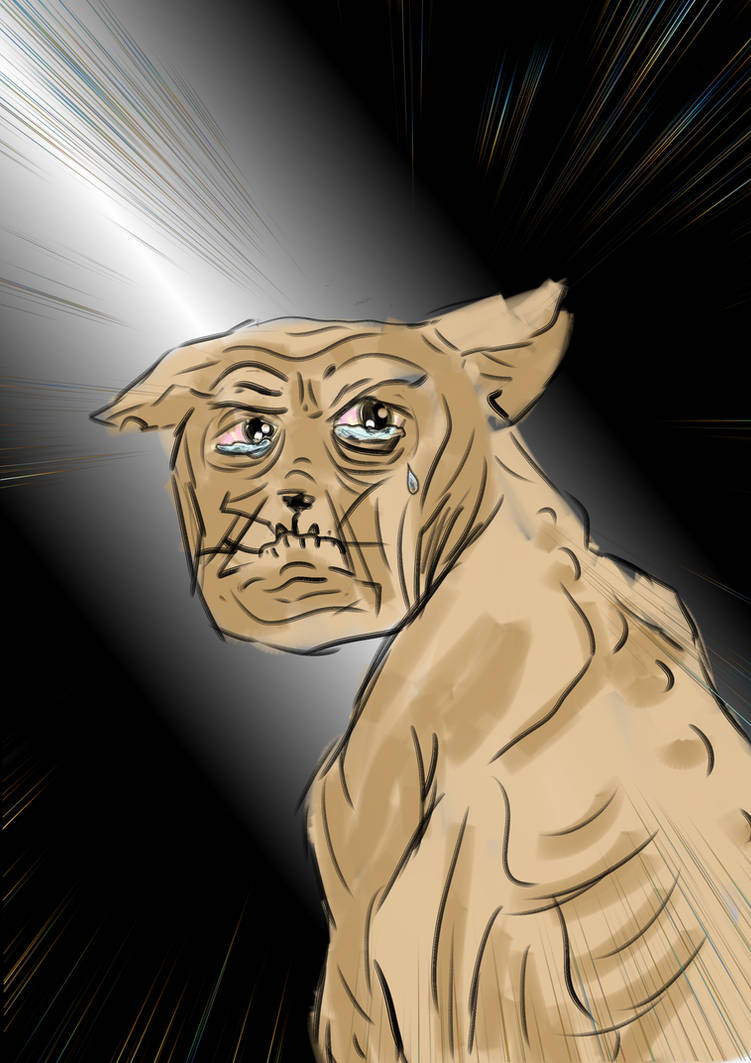 Rian.png by EnjolrasAccount on DeviantArt