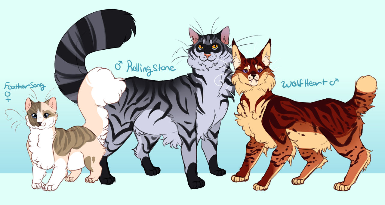 Warrior cat Oc's by Nitebight on DeviantArt