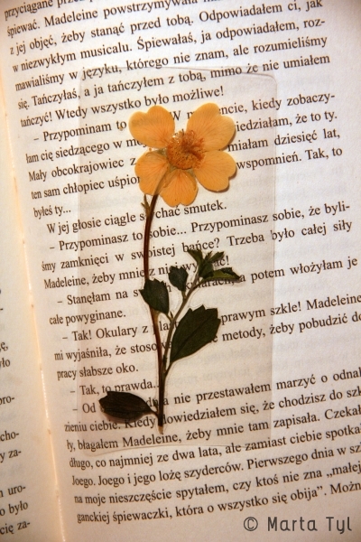 flower bookmark