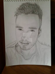 Liam Payne 2