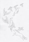 Birds: Racing by pandemoniumfire