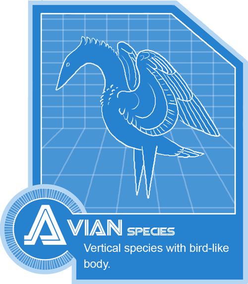 Avian Species Folder Info