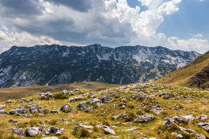 Durmitor