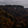 Black Forest Autumn Fairytale