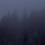 Winter Is Coming