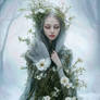 The slow awakening of Lady Spring