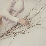 Fragile by Mrs-White