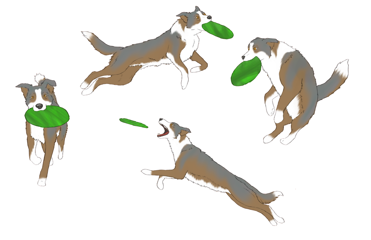 Deviantart Animal Jumping Wild Jump by Wiolets on DeviantArt