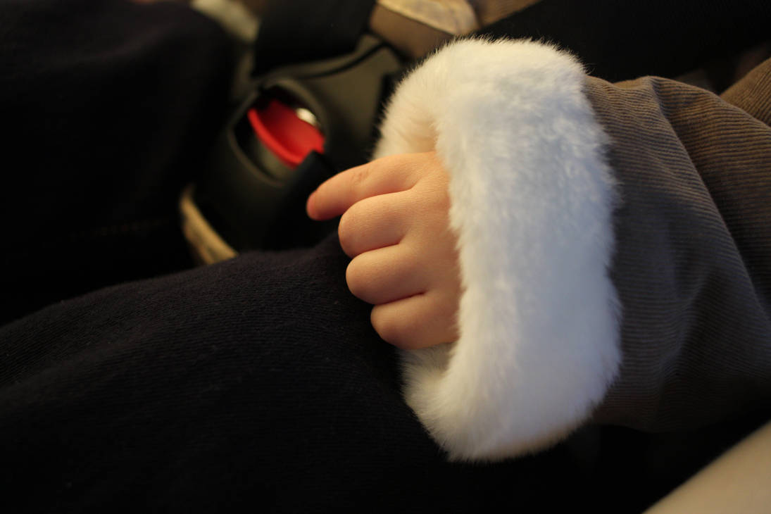 Child's Hand in Fur