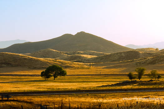 prairie lands