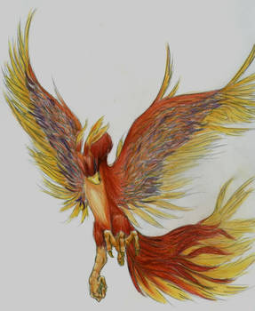 The Pheonix