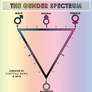 The Gender Spectrum Scale
