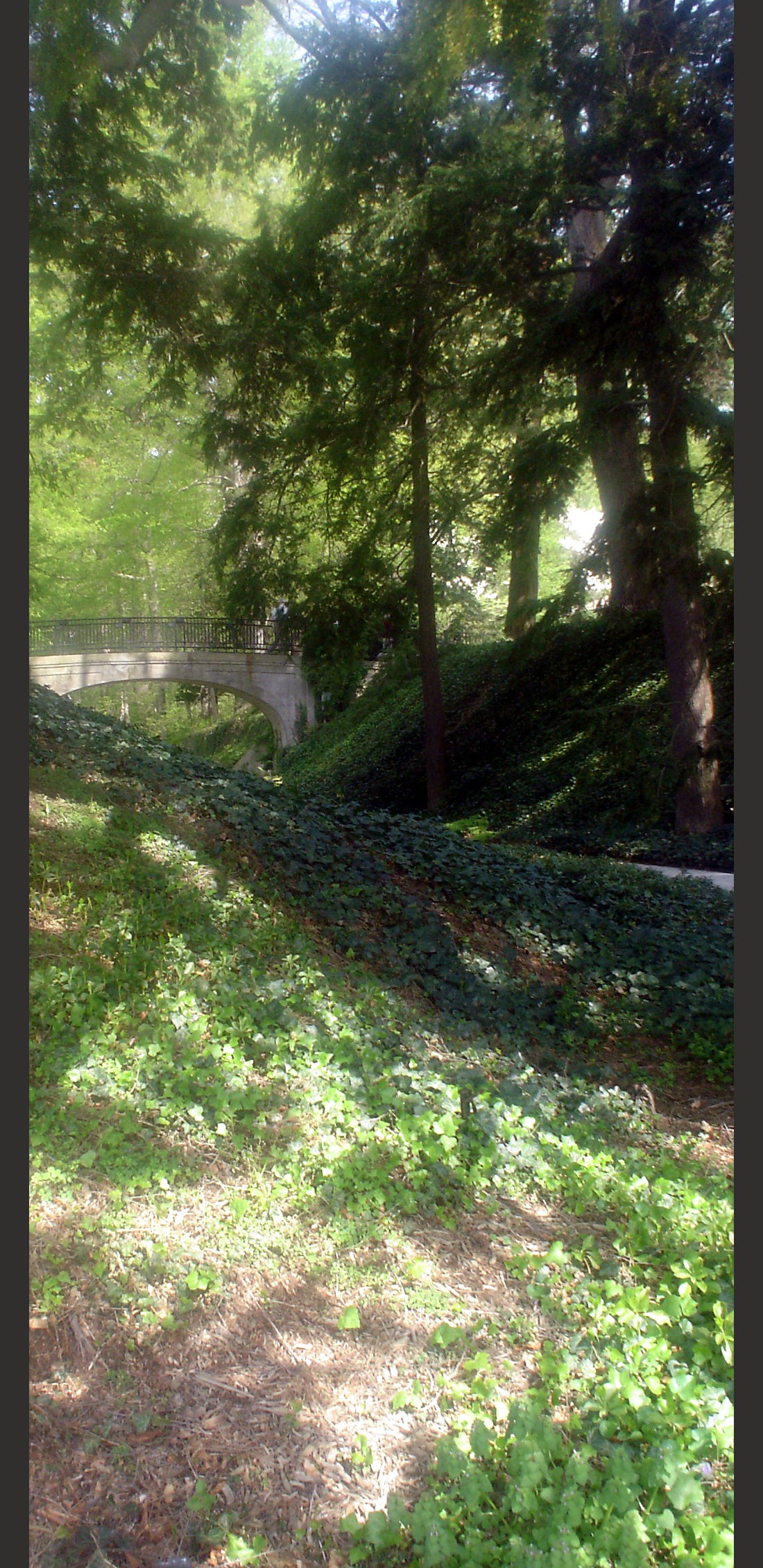 Bridge In A Hill