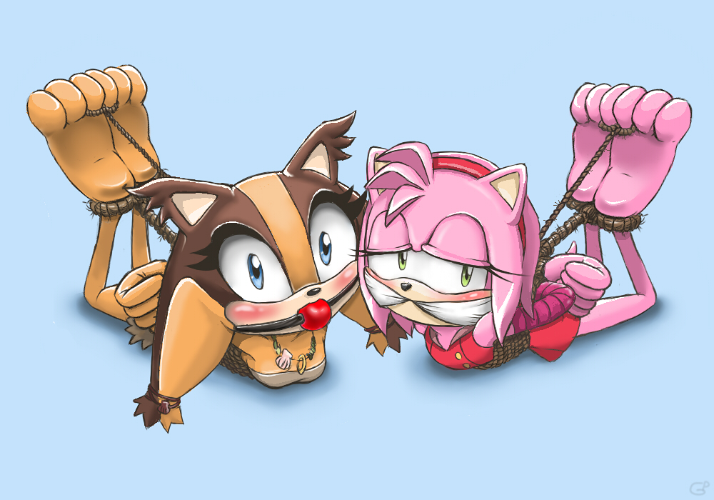 Sonic Boom Amy Rose Kidnapped. 