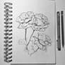 Flowers study