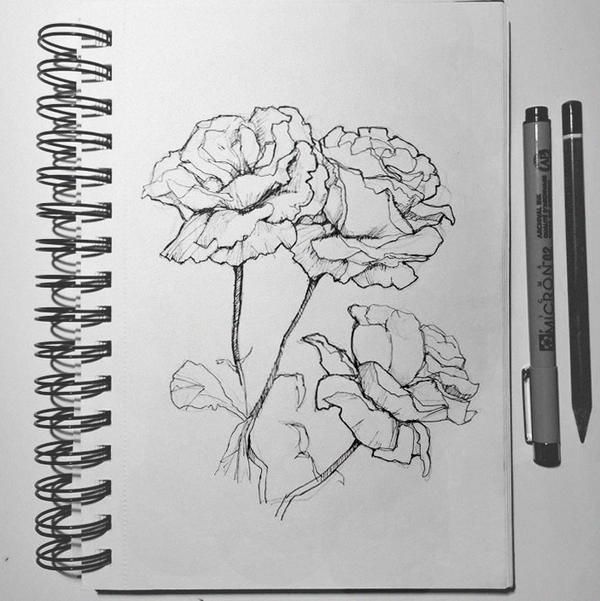 Flowers study