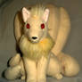 Pokemon Ninetails pic5