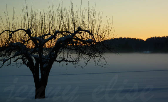 Winter in Norway1