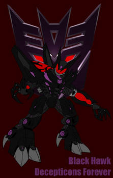 Decepticon Hunter - Black Hawk